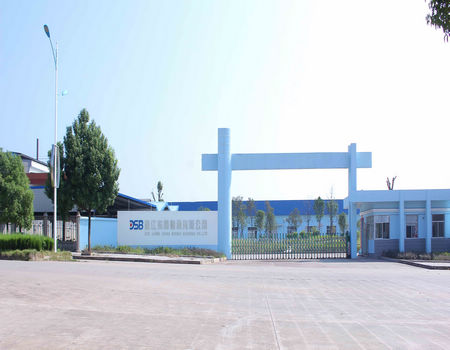 ZheJiang Dongsheng Bearing Co., Ltd.