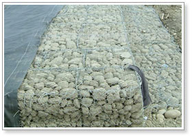 gabon  use for Preventing  soil erosion
