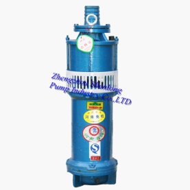 QS small submersible pump