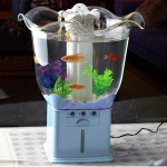 blue mini fish tank