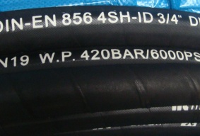 Wire Braid Hydraulic Hose: SAE 100 R1A/DIN EN 853 1ST STANDARD