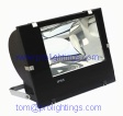 Induction flood light with induction lamp source