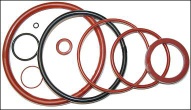 FEP/PFA  Encapsulated O  Rings