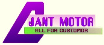 Ningbo JANT Motor Electrical Appliance  Co.,Ltd
