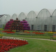 The Multi-Span Greenhouse