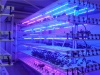 led grow light