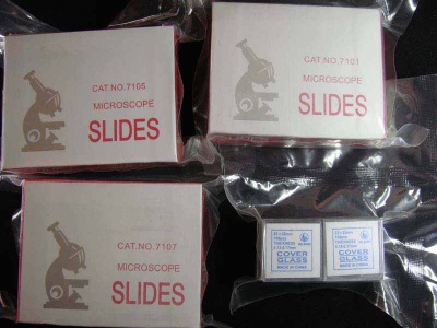 MICROSCOPE SLIDE