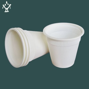 Biodegradable Disposable cup