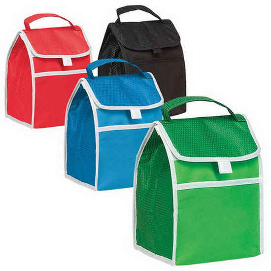 cooler bag