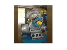 duble-suction water pump