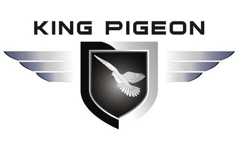 King Pigeon Hi-tech. Co., Ltd