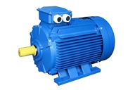 Y2 Series Three Phase Electric Motor