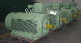 High Tension Three Phase Asynchronous Electric Motor (HV)