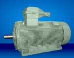 Y2 Series High Voltage Three Phase Induction Motor