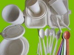 Disposable food service tableware