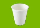 bagasse cup