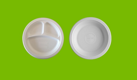 Disposable sugarcane bagasse pulp Plate