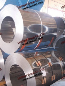 Stainless Steel Coil