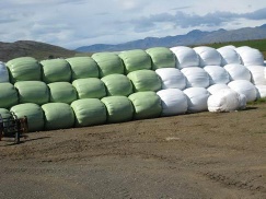 silage membrane(bags)