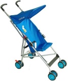 Lightweight and Stylish Buggy