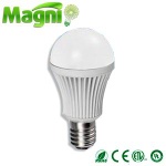 4.5W Bulb Light
