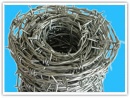 barbed wire