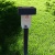 Solar light stake