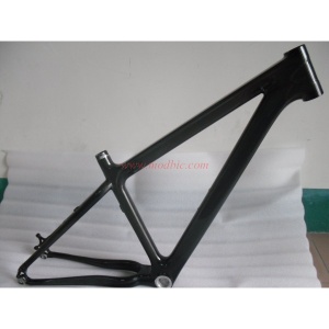 carbon MTB frame