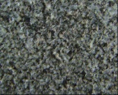 Taishan black and white Granite
