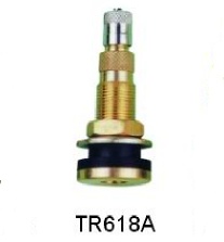 Air Liquid & large bore tubeless tire valve TR618A