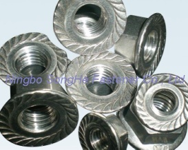 Hexagon flange nuts,  DIN6923,  ISO4161,  Hex flange nuts