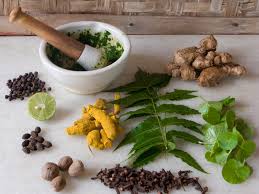 Ayurvedic herb