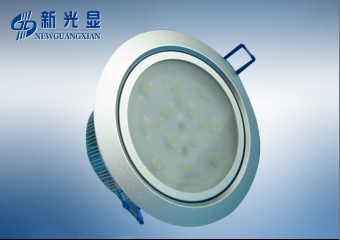 LED Down Light