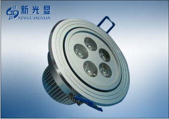 LED Ceiling Light