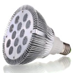 LED PAR light-24W
