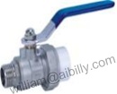 Male Thread PPR Ball Valve with Steel Handle