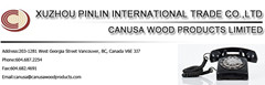 pinlin international trade limited company