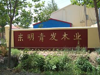 Dongming Tsingfa Wood Industry Co.,Ltd