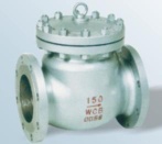 Ansi Swing Check Valve
