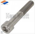 titanium hex socket bolt/screw
