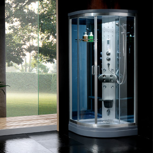 WD8838 steam room