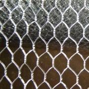 Hexagonal wire mesh(chicken wire mesh)