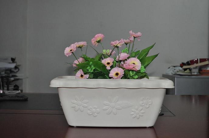 This flower Container have more place to hold plants,and it\s good decoration of window.the surface have some flower shape,give you enjoyment of beauty.
