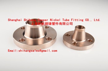 Copper Nickel Welding Neck Flange C70600 ANSI/ASME B16.5/EEMUA 145