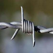 galvanized barbed wire