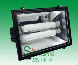 Induction Lamp,Floodlight