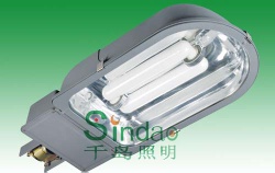 Induction Street Light