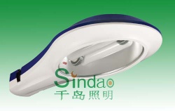 Induction Lamp-Street Light