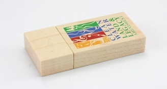 wooden usb disk