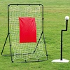 baseball goals and nets